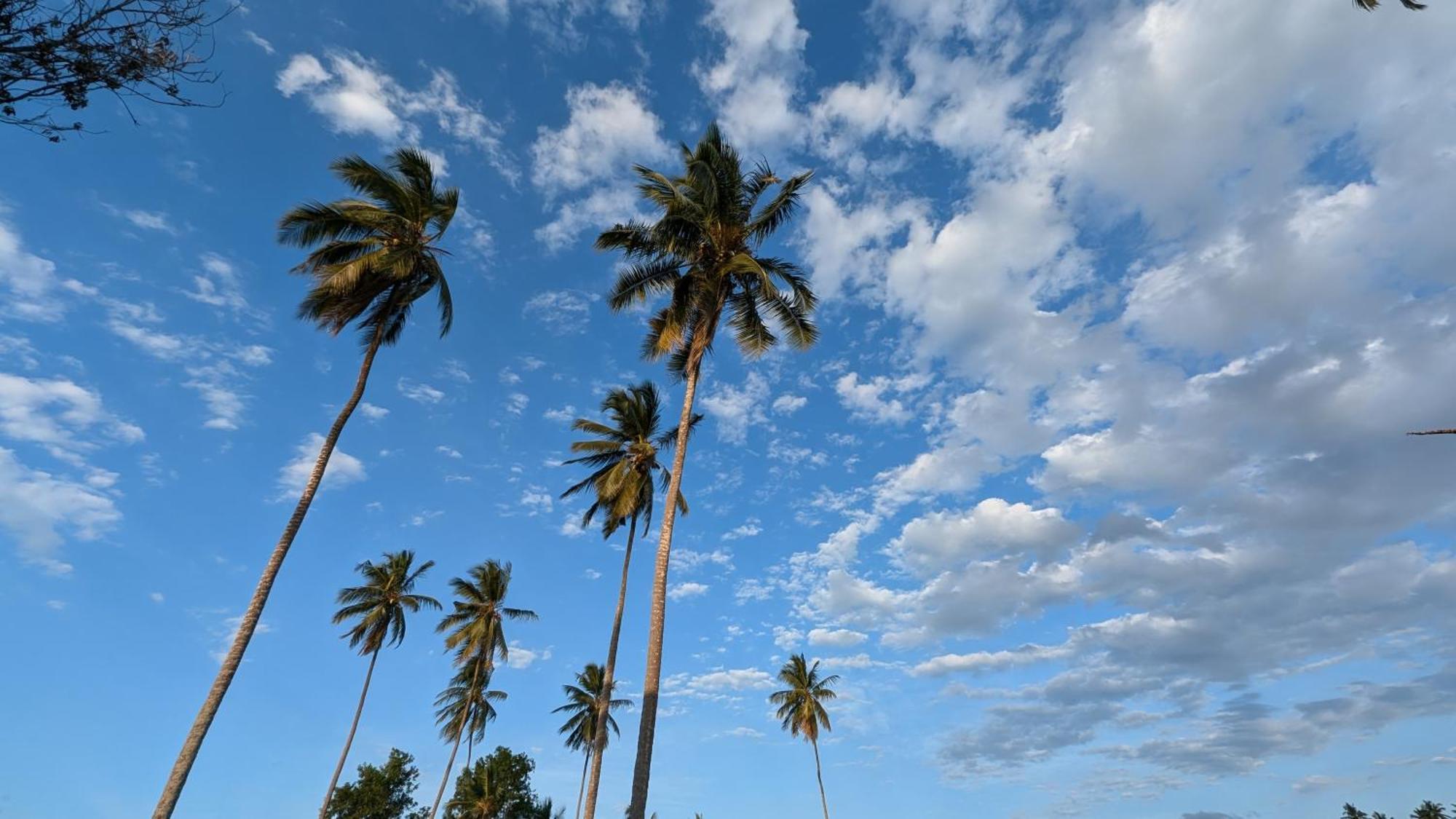 Villa Adelina Zanzibar Eksteriør bilde